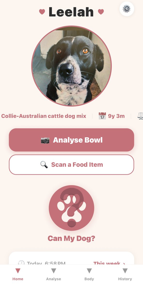 Écran d'accueil de CanMyDog avec le profil de Leelah et les boutons Analyser la gamelle et Scanner un aliment