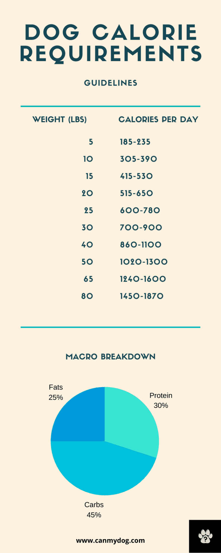 How Many Calories Should My Dog Eat Calculator