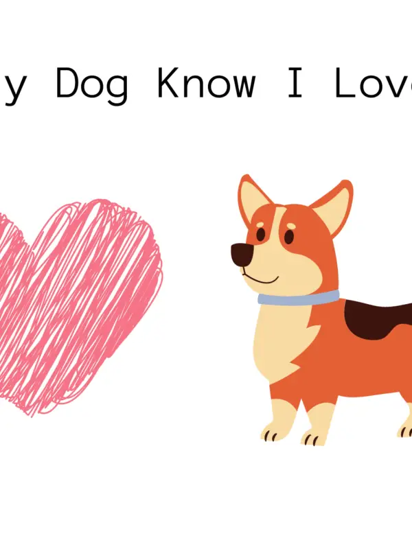 Does My Dog Know I Love Him? A Comprehensive Quiz