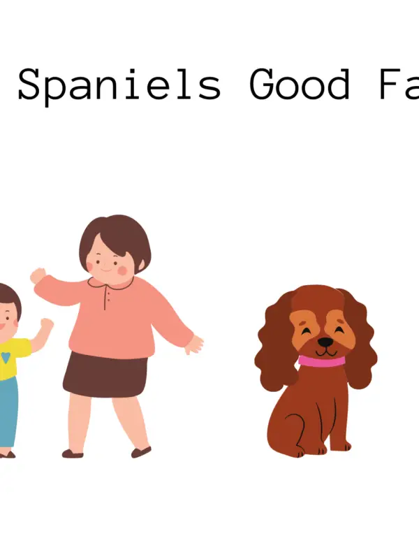 Are Cocker Spaniels Good Family Dogs? A Guide for Parents.
