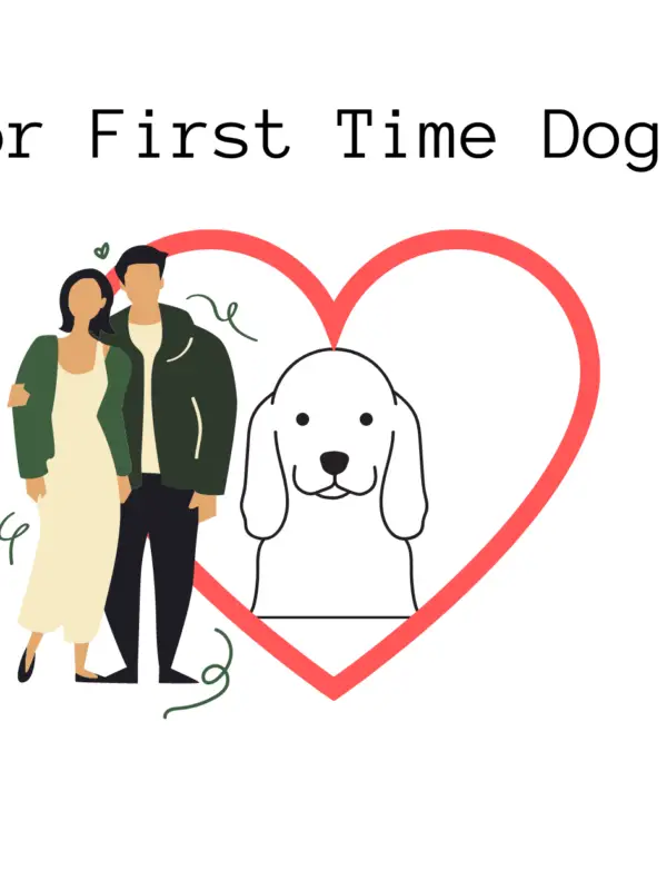 The Ultimate Guide For First Time Dog Parents