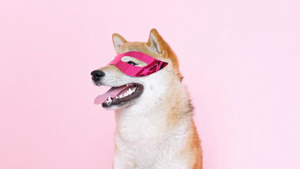 A dog with a pink superpower mask on