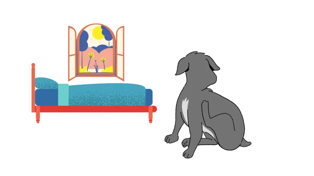 Cartoon image of a grey dog itching in the morning with a blue and red bed beside of him with an open window in the background.