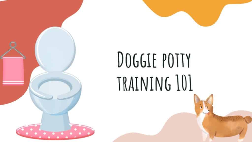 is-it-possible-to-train-your-dog-to-use-the-toilet-can-my-dog