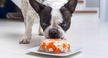 is peanut butter and jelly good for dogs