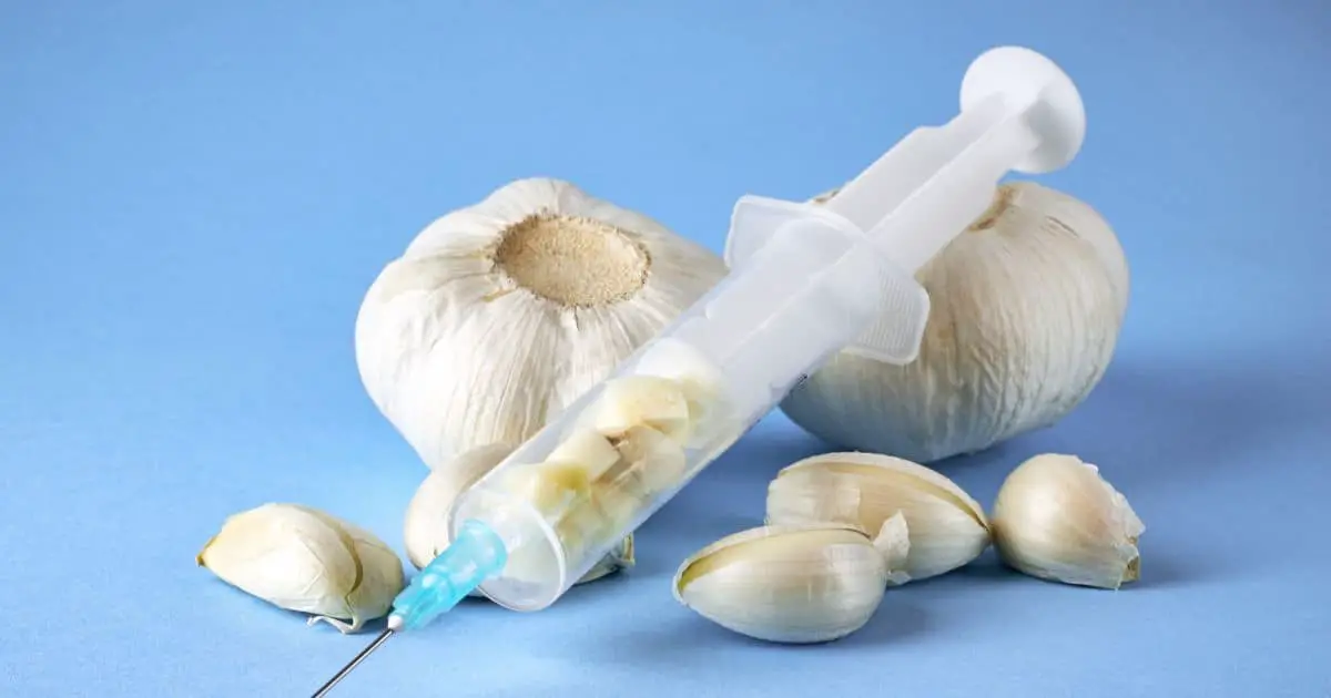 Garlic as natural antibiotic