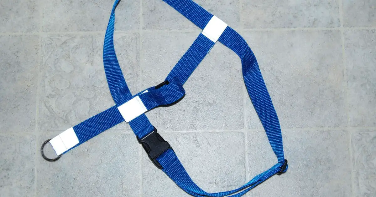 Front Clip Dog Harness