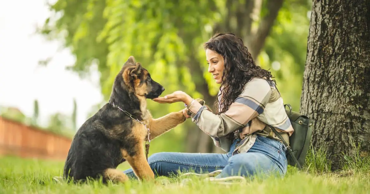 woman feeding dog in park