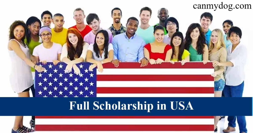 3 List of the Best International University Scholarships to Study in the USA