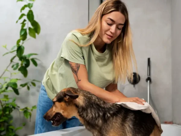 Dog Care Guide